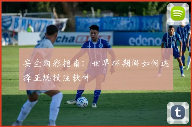 安全购彩指南：世界杯期间如何选择正规投注软件