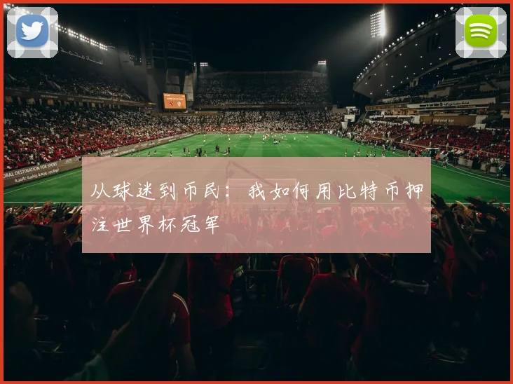 从球迷到币民：我如何用比特币押注世界杯冠军
